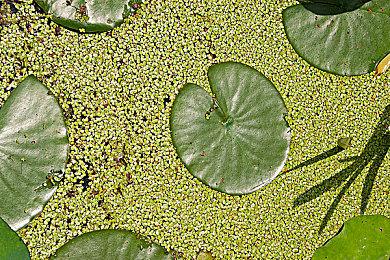 《潜行者2》将在发行后提供免费多人模式